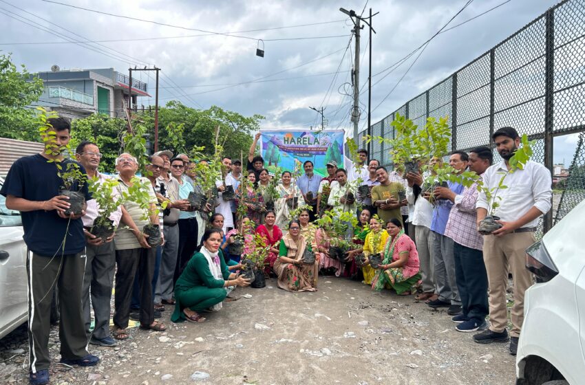  The Municipal Council of Muni Ki Reti-Dhalwala celebrated Harela festival dedicated to environmental protection